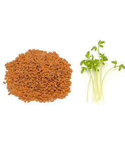 Кресс-салат насіння для мікрозелені